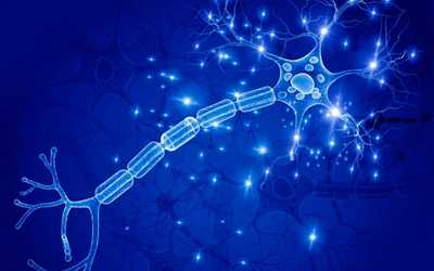 Neurone