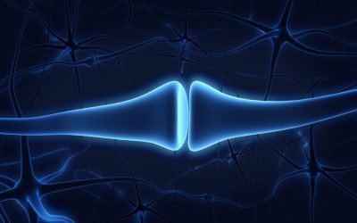 Neuroni
