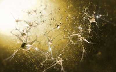 Neuroni