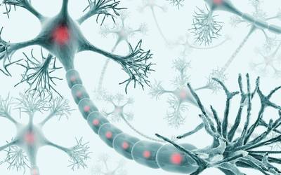 Neuroni