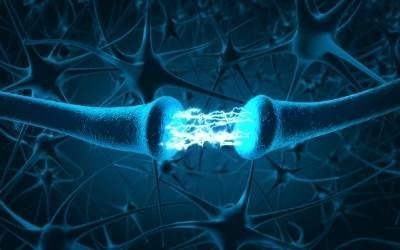 Neuroni