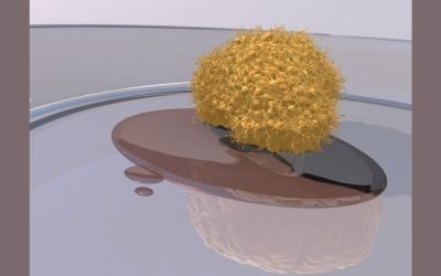 Organoide cerebrale, malattie neurodegenerative