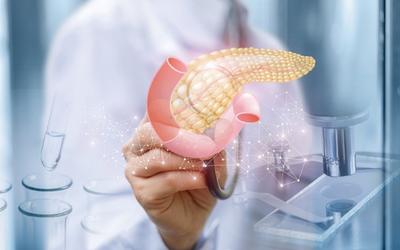 pancreas
