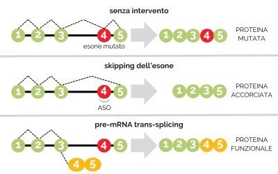 pre-mRNA trans-splicing, malattia di Stargardt, rna