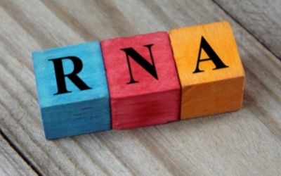 rna, sindrome di dravet, STK-001