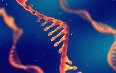 RNA