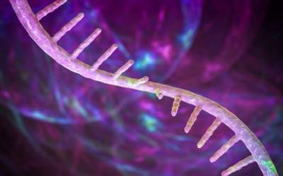 RNA