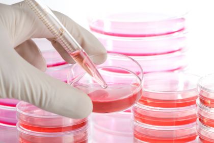 Riprogrammazione cellulare: create in laboratorio cellule staminali ad uno stadio immaturo