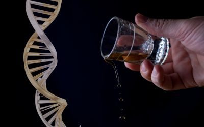 Terapia genica per l’alcolismo