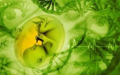 Terapia genica in utero