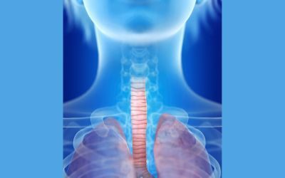 Trachea