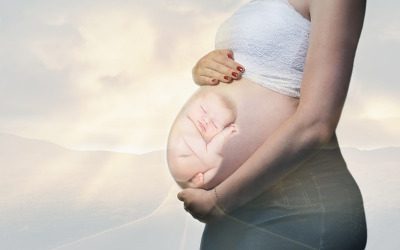 Utero