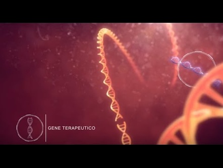 Osservatorio Terapie Avanzate - Video