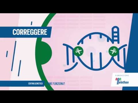 Osservatorio Terapie Avanzate - Video